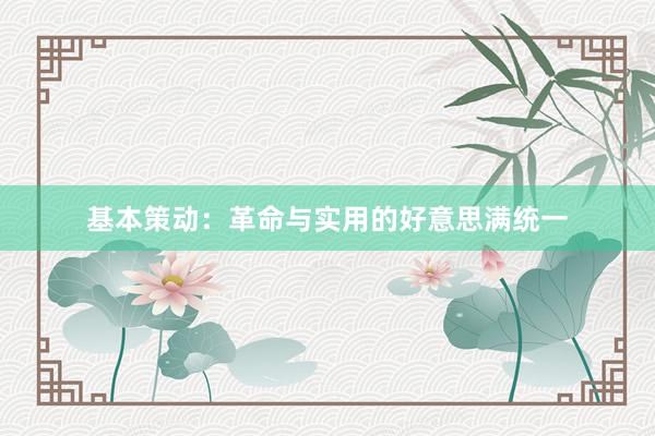 基本策动：革命与实用的好意思满统一
