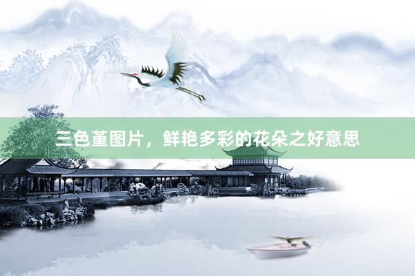 三色堇图片，鲜艳多彩的花朵之好意思