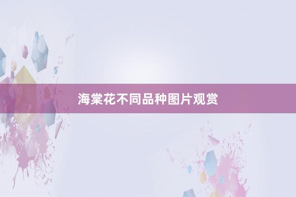 海棠花不同品种图片观赏