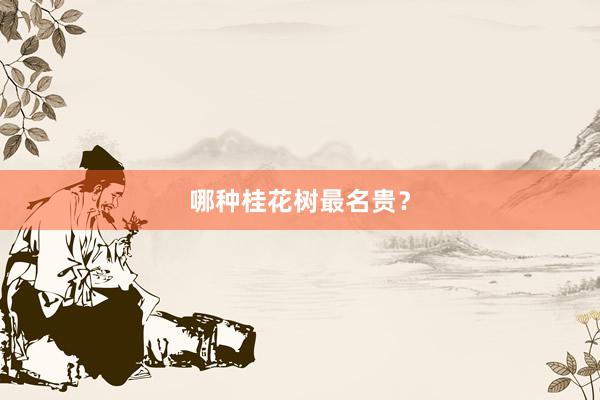 哪种桂花树最名贵？
