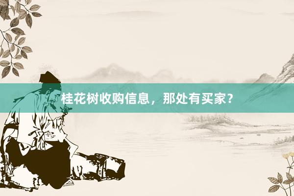 桂花树收购信息，那处有买家？