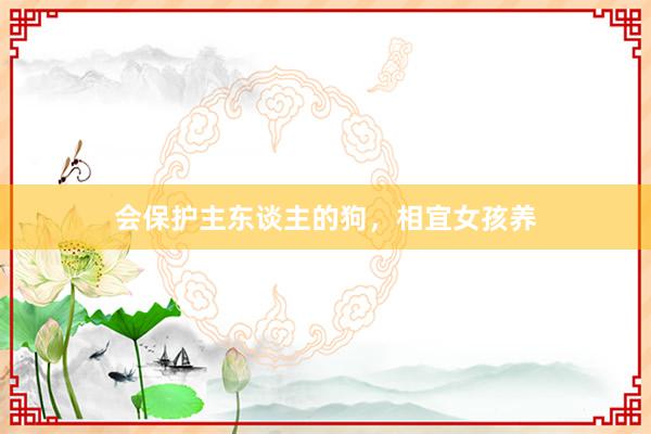 会保护主东谈主的狗,相宜女孩养